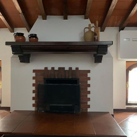 Daisy House: Nice Attic In The Historical Center Salo Luaran gambar